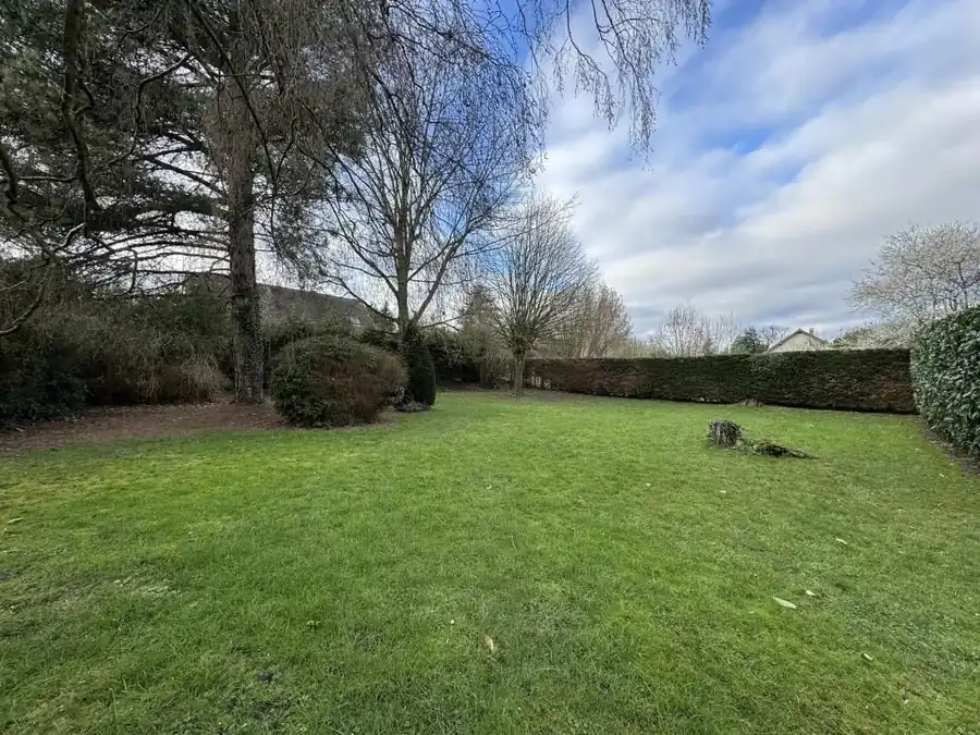 Le terrain clos et ses arbres